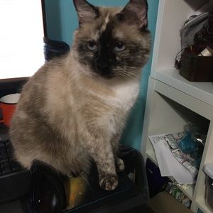 Meet your Posher, Teri